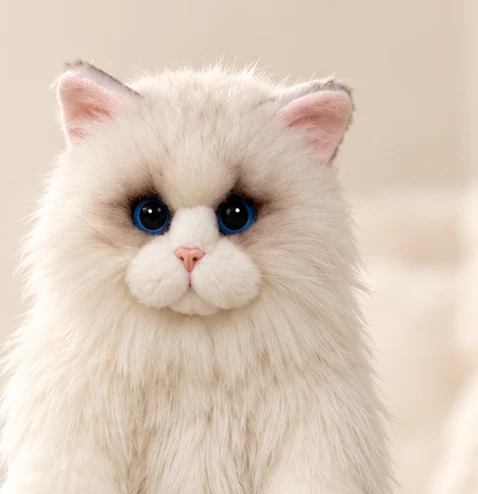 Styled close-up of our first cat’s blue eyes and soft white fur
